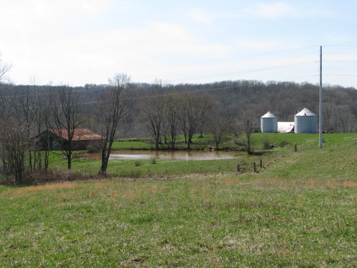 Property photo 55 - 137 Acres in 2 Tracts - 64 Tillable Acres, Potential Building Sites, Hunting